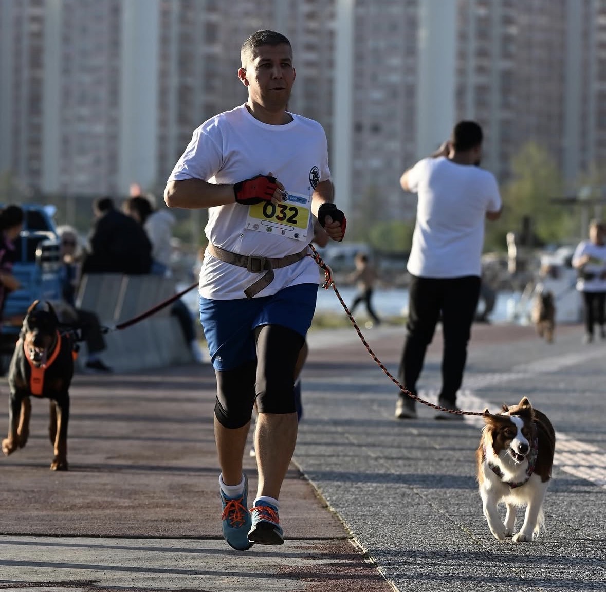 Galeri 1